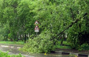 В Пензе продолжается устранение последствий непогоды